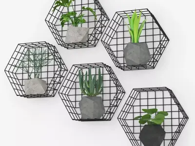 Plants Wall 3D model