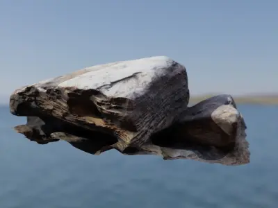 Rocks piece of wood floating in water Low-poly 3D model