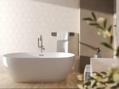 Bathroom scene Pacific 3D model