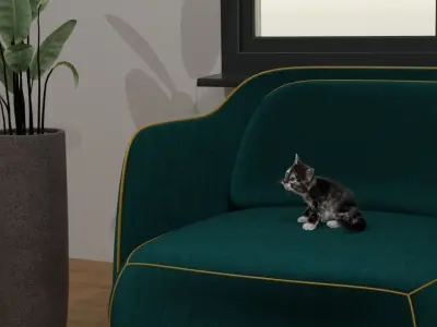 Sofa The origin of sofa 3D model