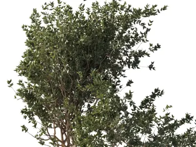 Urban Environment Urban Furniture Green Benches Plants 3D model