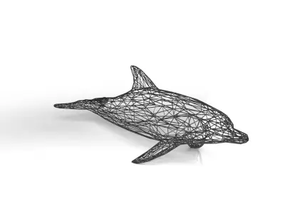 Dolphin Wireframe Low-poly 3D model