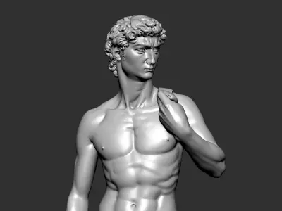 David of Michelangelo  3D print model