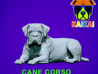 Cane Corso lying - English Mastiff model - 3D print 3D print model