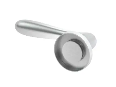 Eurospec Bulb Stainless Steel Door Handle 3D model