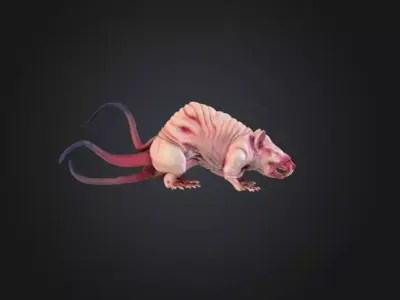 Mutant Rat Low-poly 3D model