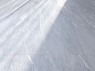 Floor Savoy Grey 60x120 Texture