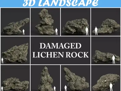 Low poly Damaged Lichen Rock B 190907 Low-poly 3D model