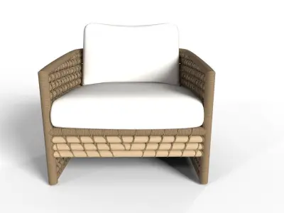 Hana Tiger Orange Rug Low-poly 3D model