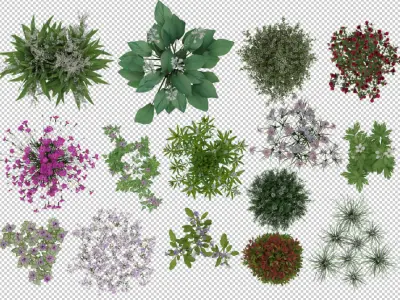 2D Flowers TopViews Collection 15 Layers PNG PSD PDF Texture
