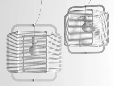 Corda 50cm Green Algae 3D model