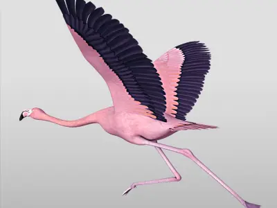  Flamingo Pink - Flight 