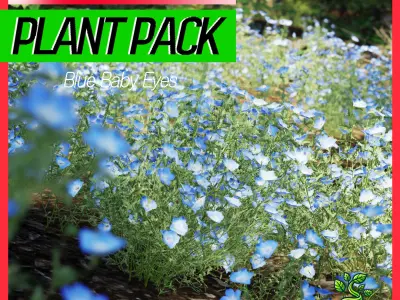 Street Garden in JAPAN - 4 Blue Baby Eyes Flower Grass Plant Low-poly 3D model