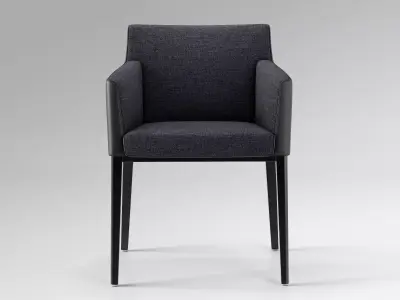 William Armchair 3D model