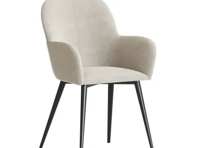 Fitz Accent Dining Chair 3D model