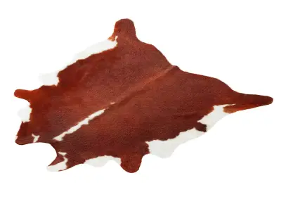 Hereford Cowhide Rug by Hudson Hides 3D model
