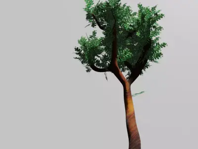 Tree Free eucalyptus PBR Free low-poly 3D model