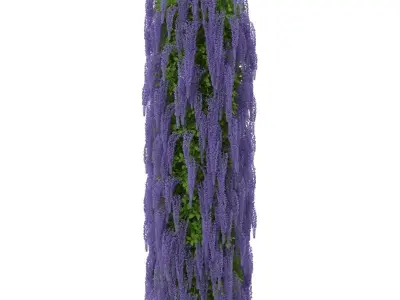 Wisteria column 3D model