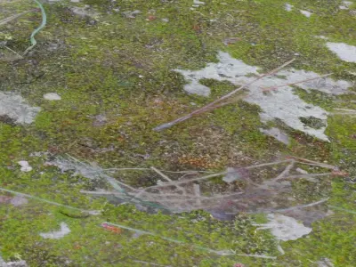 3 Surface of Stone Moss set  3D model