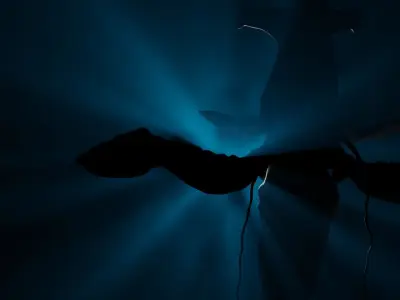 Tulkun from Avatar Rigged 3D Model Low-poly 3D model