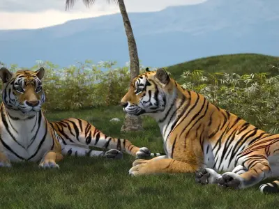  Tiger Rigged for Cinema 4D 
