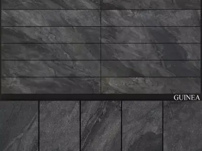 Absolut Keramika Guinea 3D model