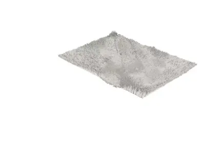 Carpet 3D model