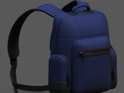 Backpack bag baggage Color 3d low poly Low-poly  Low-poly 3D model 7
