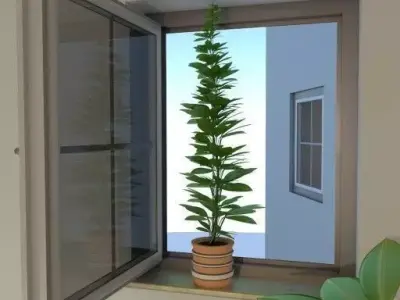 Window Plant Free 3D model