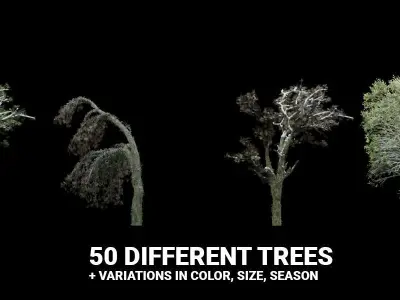 Low Poly Trees Scatter 3D model