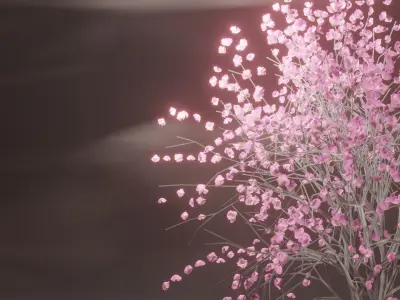 Model Japan Sakura Tree  Free 3D model