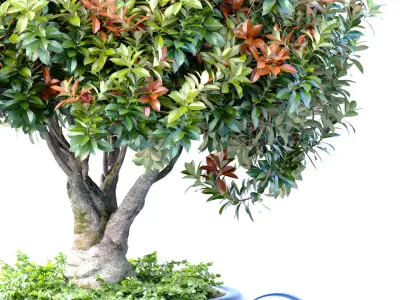 Decorative flowering garden tree plant in Italian floor vase  3D model