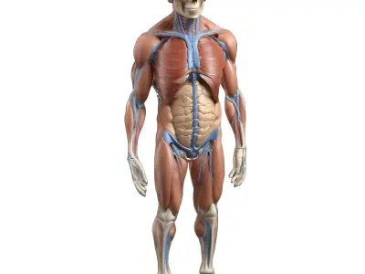 Creative Character Bundle 3D print model