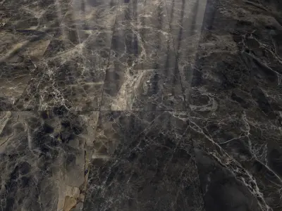 Complete Alpha Marble Floor  Texture