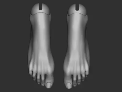 Feet 3D model bjd doll Female figurines ooak 3d print  legs 3D model