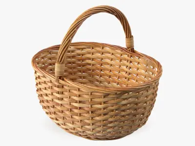  Asparagus Spears Big Collection 