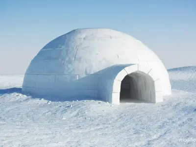 Igloo in snow 3D model