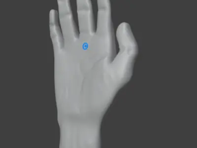  Almost realistic hand model Game-ready 3D model