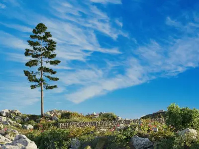 Nature scene and nature pack 3D model