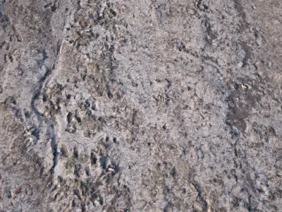 Dirt Road 3D Scan Low-poly 3D model