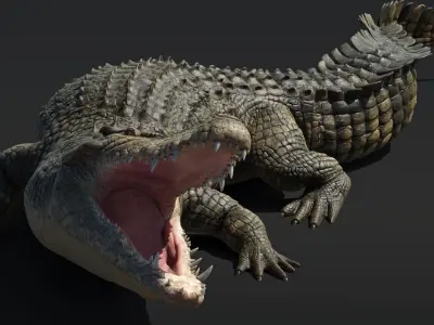  Saltwater Crocodile Rigged 