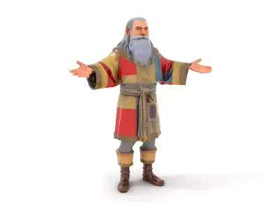Elderly Wizard Character Model  Rigged and Animated Low-poly 3D model