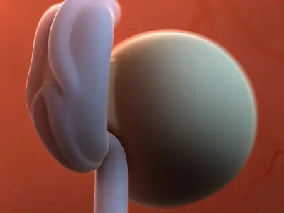  Fetus Collection - 37 models in development 