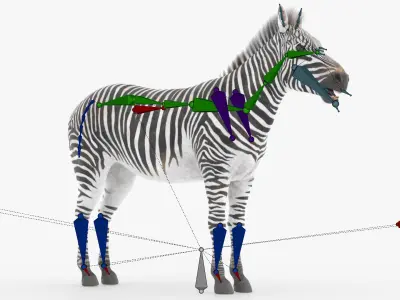 Zebra Wildlife Animal Animated Fur Rigged For Blender Collection 