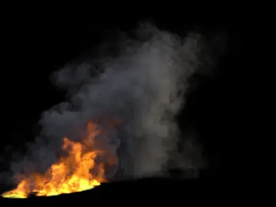 Blazing Fire VDB 3D model