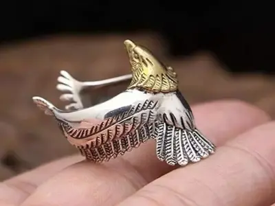 Ring Eagle  3D print model