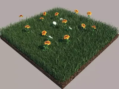 Grass grassy field with orange flowers 3D model