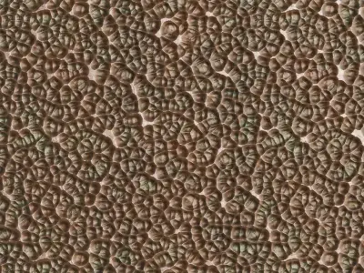 Antique Scalloped Hammered Bronze PBR Seamless Texture