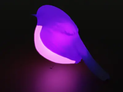 Pink Robin Indirect Lighting 3D model