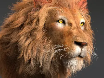  Lion with Fur Rig Animated 